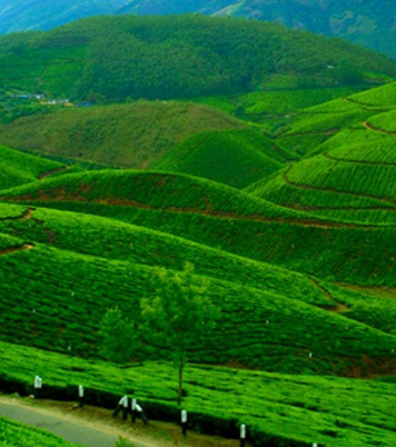 Munnar 